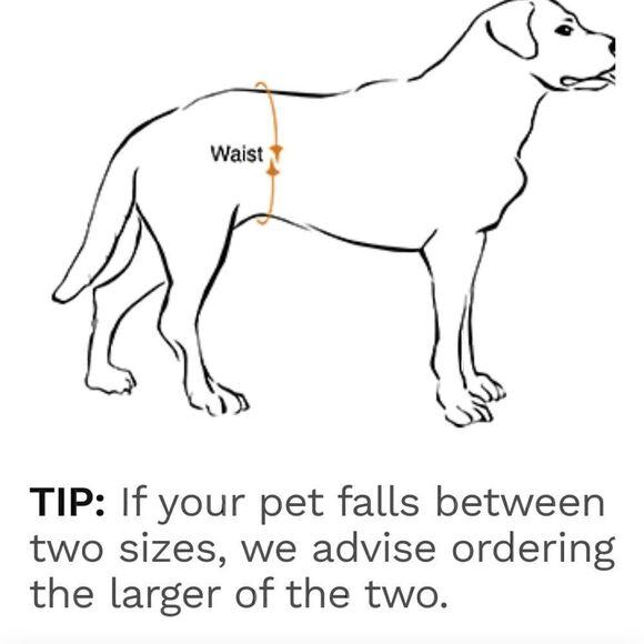 ALFIE GREEN CAMO UNISEX DOG DIAPER WASHABLE REUSABLE SIZE LARGE NWOT - Picture 7 of 7